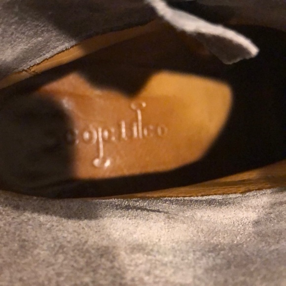 Coclico suede booties - Picture 7 of 7